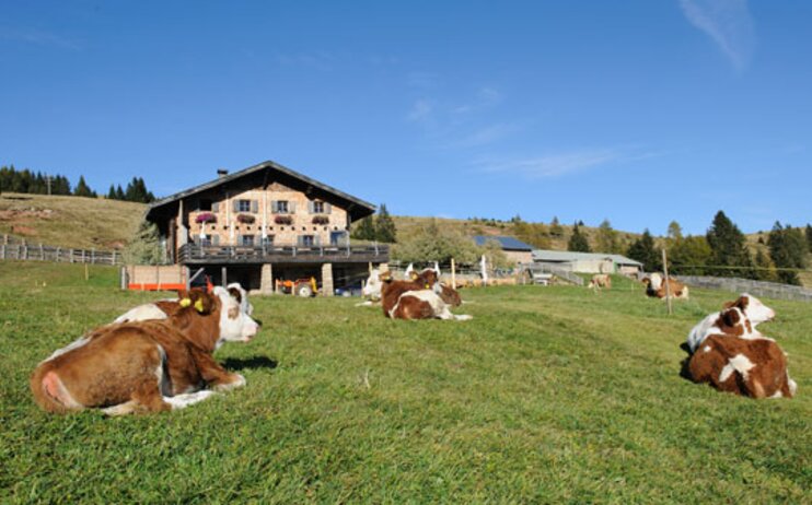 Giro delle malghe di Avelengo - domenica 21 aprile 2024